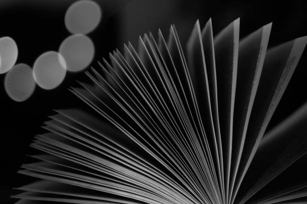 istock Open Book,reading,education,relaxation,learning concept, black and white, good copy space 1701197012