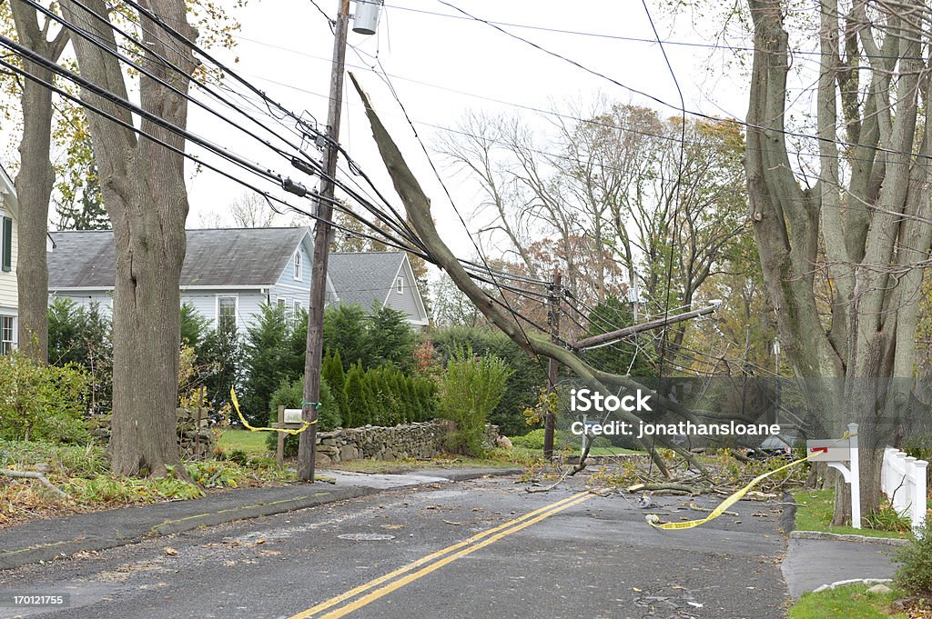 Gran branch triturados líneas de potencia durante el huracán Sandy - Foto de stock de Corte de luz libre de derechos