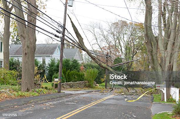 Gran Branch Triturados Líneas De Potencia Durante El Huracán Sandy Foto de stock y más banco de imágenes de Corte de luz