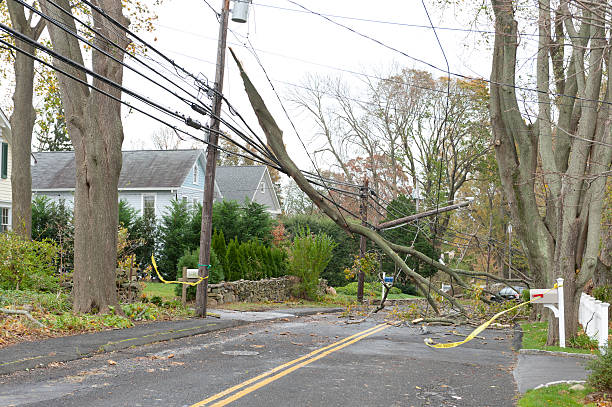 Huge branch crushed power lines during Hurricane Sandy A huge tree branch lays on top of power lines in the aftermath of Hurricane Sandy, a powerful storm which crashed into the Eastern USA. superstorm stock pictures, royalty-free photos & images