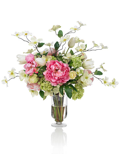 dogwood e peonia fiori di primavera su sfondo bianco - bouquet cut flowers flower flower arrangement foto e immagini stock