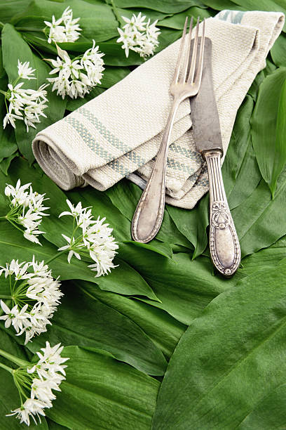 wild garlic (Allium ursinum) and antique silverware wild garlic (Allium ursinum) and antqize kitchen knife with fork.  zigeunerlauch stock pictures, royalty-free photos & images