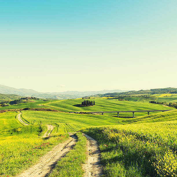istock Tuscany val d'orcia landscape 170122757