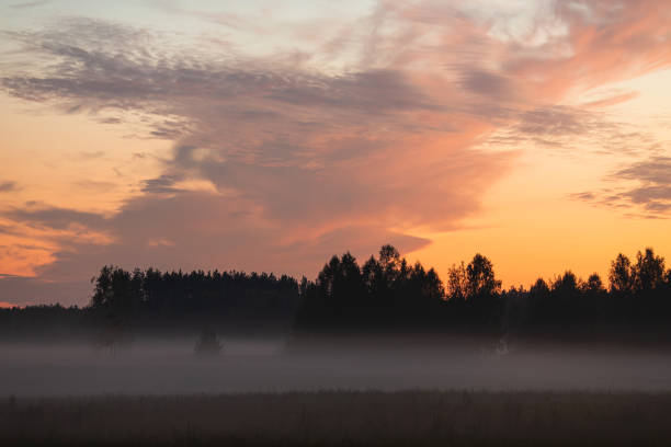 istock Evening landscape. Sunset sky. Fog over the field 1701239772
