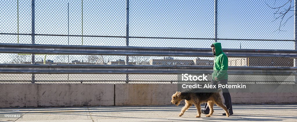 Young man walks perro - Foto de stock de Brooklyn - Nueva York libre de derechos