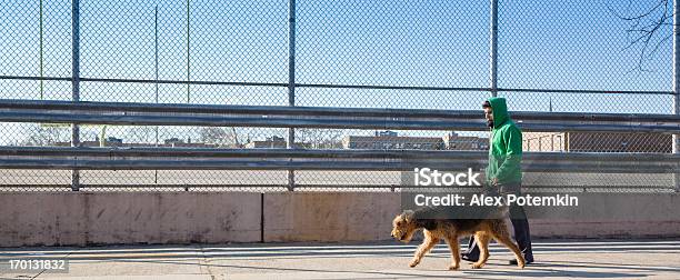 Young Man Walks Perro Foto de stock y más banco de imágenes de Brooklyn - Nueva York - Brooklyn - Nueva York, Comunidad, Maspeth