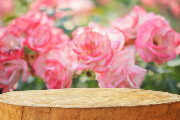 istock Empty old tree stump table top with blur rose garden background for product display 1701334416