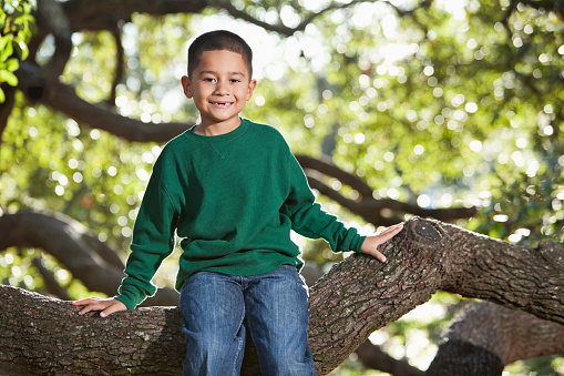 Hispanic boy (5 years) sitting on tree branch in park.