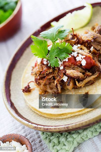 Carnitas Stock Photo - Download Image Now - Bright, Brightly Lit, Cheese
