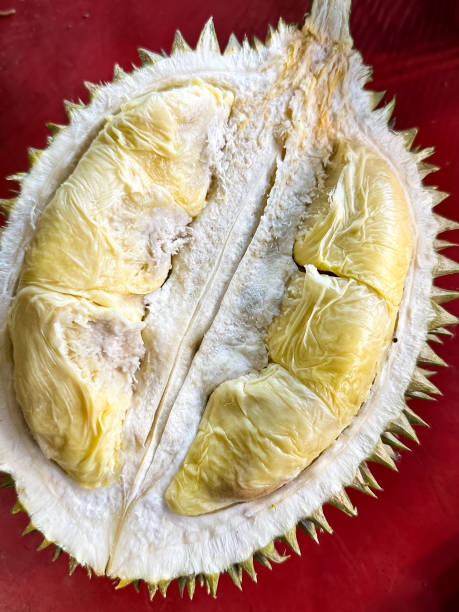 istock Yellow Durian Flesh 1701367541