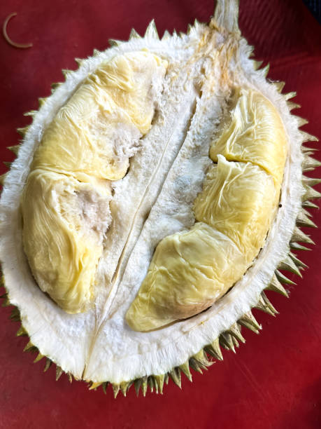 istock Yellow Durian Flesh 1701367633