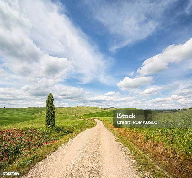 Idillio Strada In Terra Battuta Con Cipressi In Val Dorcia Toscana Italia - Fotografie stock e altre immagini di Agricoltura