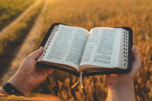 istock Woman holding a Bible, a natural field 1701410229