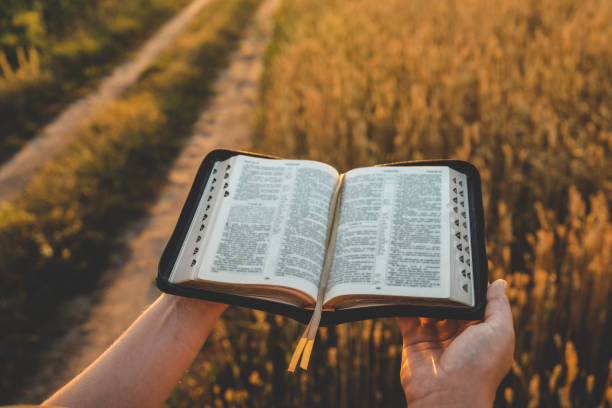 istock Open bible in hands, wheat field and road, christian concept 1701410230