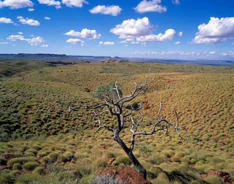 Millstream National Park in the Hamersley ranges, Western Australia.