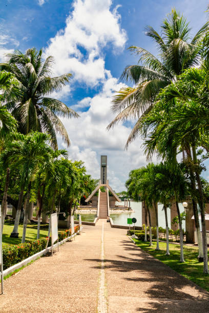 Footpath lined with palm trees Footpath lined with palm trees in a public park in Villahermosa, Mexico with an observation tower in the background tabasco state stock pictures, royalty-free photos & images