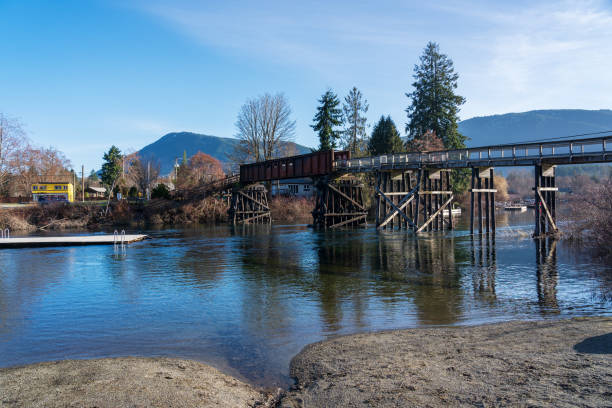 istock Lake Cowichan Kinsmen Duck Pond Bridge 1701437893