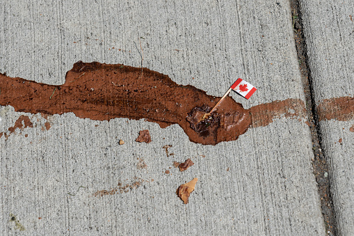 Melted Ice cream on Pavement with Canada Flag sticking out.