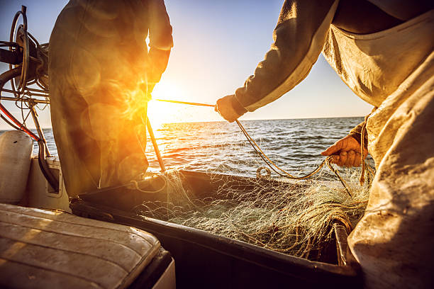 les pêcheurs de travail, en ramenant les nets - filet de pêche photos et images de collection