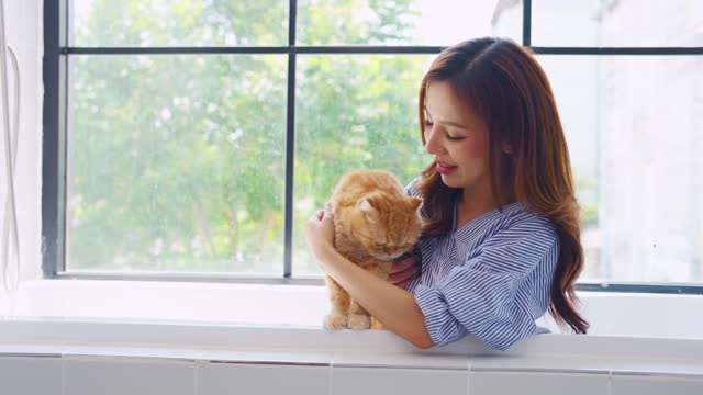 Asian attractive woman playing with domestic cat with happiness at home. Beautiful young female owner sitting on bathtub, feel happy and relax while spend leisure time with her pet animal in bedroom.