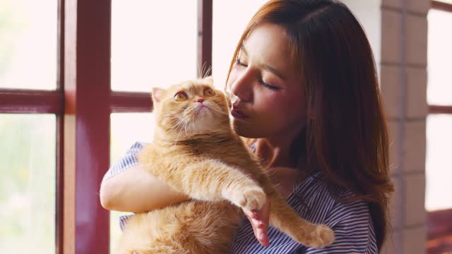 Asian attractive woman holding domestic cat with happiness in living room. Beautiful young female owner feel happy and relax while spend free leisure time with her furry Persian kitty animal together.