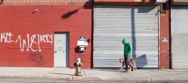 Young man walks dog in Williamsburg, Brooklyn, New York