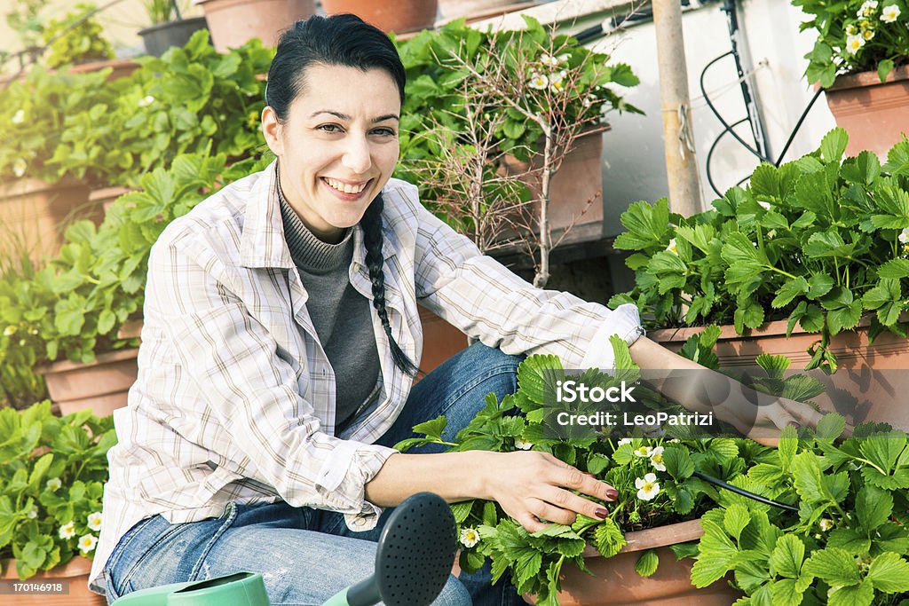 Linda paisajista s'encarga de sus plantas de fresa - Foto de stock de Adulto libre de derechos