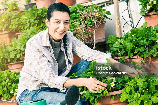 Linda Paisajista Sencarga De Sus Plantas De Fresa Foto de stock y más banco de imágenes de Adulto - Adulto, Agarrar, Aire libre