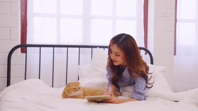 Asian attractive woman playing with domestic cat with happiness at home. Beautiful young female owner lying down on bed, feel happy and relax while spend leisure time with her pet animal in bedroom.