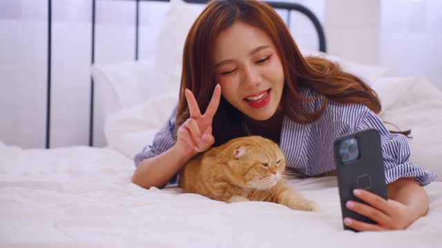 Asian attractive woman using phone taking a photo with domestic cat at home. Beautiful young female owner lying down on bed, feel happy and relax while spend leisure time with pet animal in bedroom.