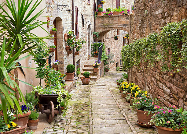 Idílica alley con rellenos plantas en Spello, Umbria Italia - foto de stock