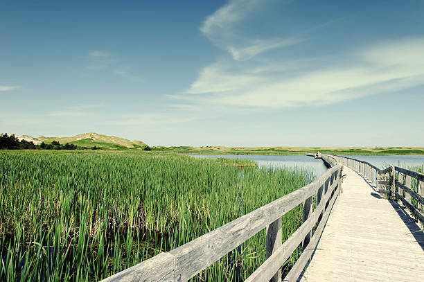 istock Boardwalk over Bowley Pond, Prince Edward Island National Park,Canada 170148764