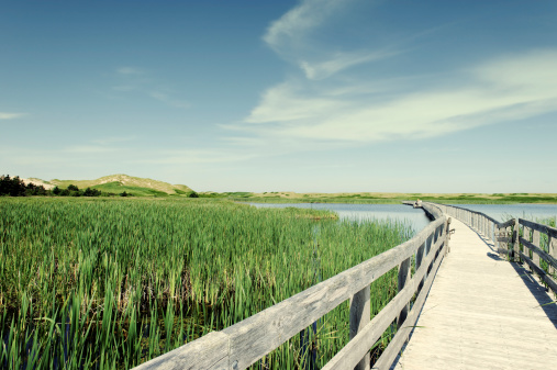 Beautiful landscape with boardwalk over the  Bowley Pond along the Greenwich Dunes Trail, Prince Edward Island National Park,Prince Edward Island , Canada.