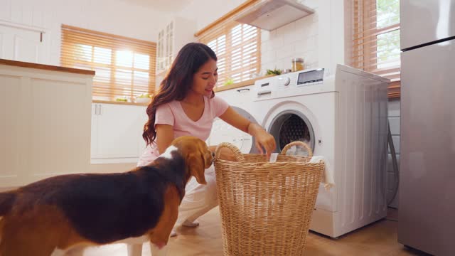 Asian woman put dirty clothes to washing machine with her beagle dog. Beautiful young female owner feeling happy and relax, enjoy spend free leisure time with her lovely pet puppy together in house.