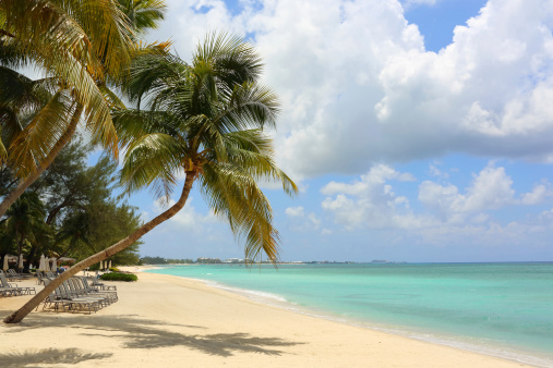 Caribe: Playa de ensueño photo