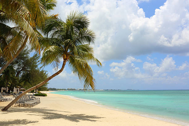 caraíbas: praia de sonho - cozumel imagens e fotografias de stock