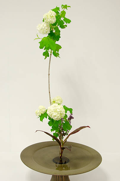 Ikebana stock photo