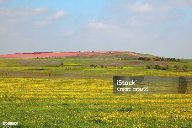 と野草地 - オクラホマ州のストックフォトや画像を多数ご用意 - オクラホマ州, 自然の景観, 丘