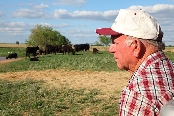 istock Agriculture: Farmer or rancher with Cattle in field 170155856