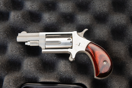 This is a photograph of a .22 caliber revolver pistol on top of the protective padding of a carrying case in Florida, USA.
