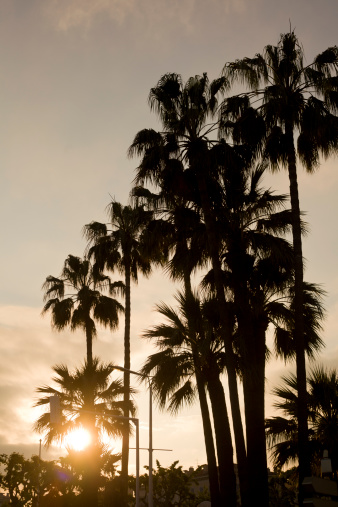 Warm Sunrise, Port St. Lucie, Florida