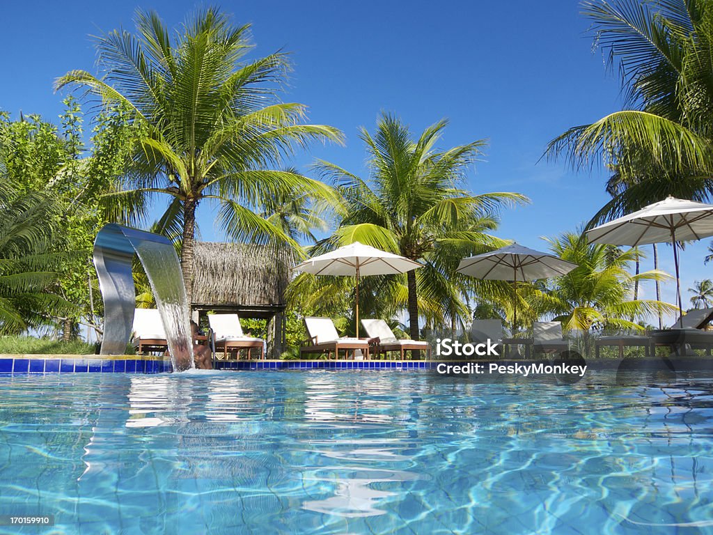 Brillante piscina tropicale con palme Patio - Foto stock royalty-free di Piscina all'aperto