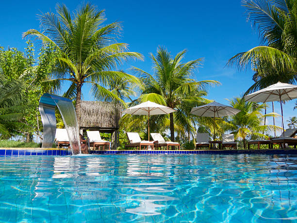 Bright tropical swimming pool lined with deck chairs and palm trees