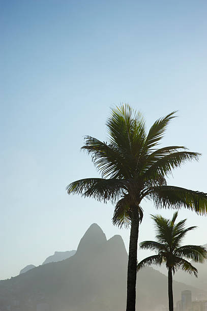 istock Rio de Janeiro Two Brothers Mountain with Palm Trees 170160175