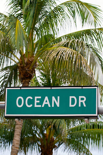 istock South Miami Beach Ocean Drive Sign Palm Trees 170160956