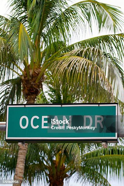 South Miami Beach Ocean Drive Podpisać Palmy - zdjęcia stockowe i więcej obrazów Bez ludzi - Bez ludzi, Droga, Fotografika
