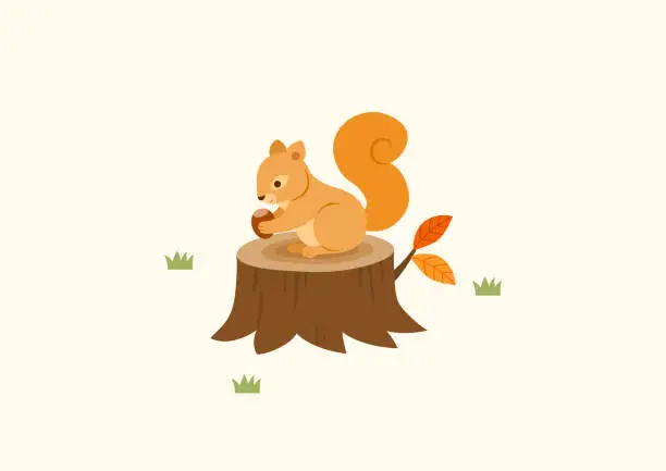 Vector illustration of Cute squirrel holding an acorn with a stump. Autumn animal illustration.