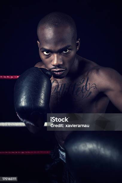 Foto de Boxe e mais fotos de stock de Adulto - Adulto, Agressão, Artes Marciais