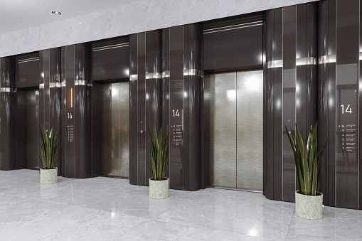 Empty Hotel Or Office Corridor With Elevators And Potted Plants