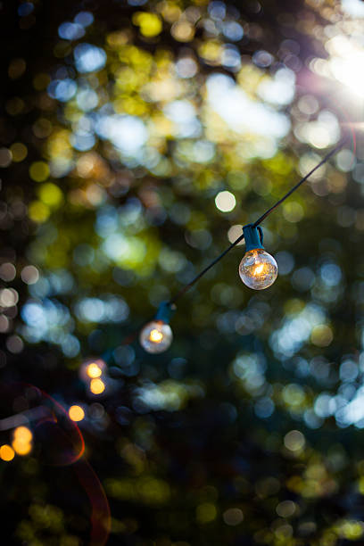Outdoor garden party lights.